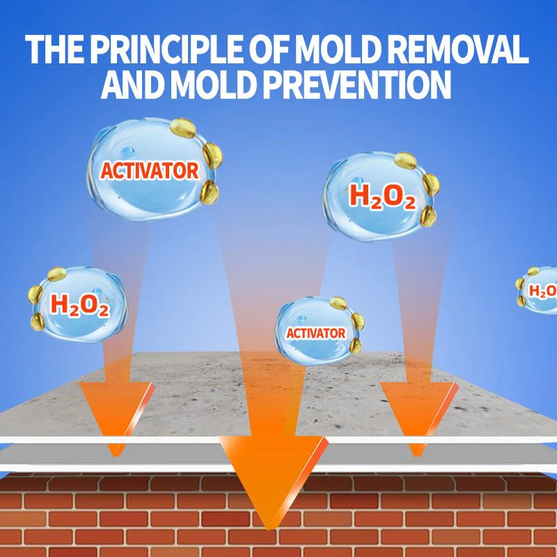 🔥 BUY 2 GET 1 FREE! ✨ Lanwexy Mould Removal Spray - Eliminates Stubborn Mould in Minutes, Prevents Regrowth on Tiles & Surfaces 🚿🧼 - Image 3