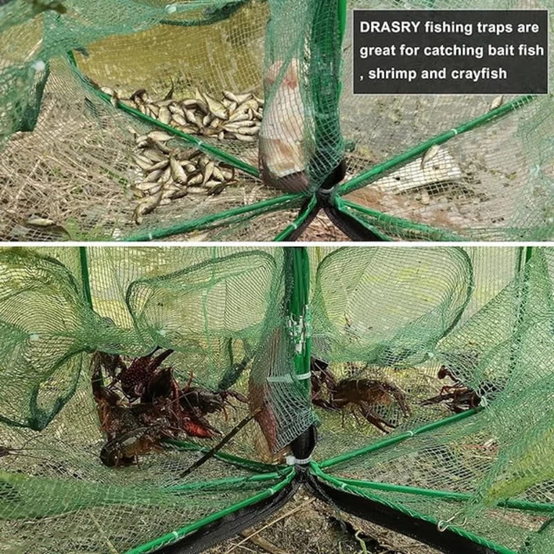 🔥Auto-Foldable Strengthened Fishing Trap Net - Image 4
