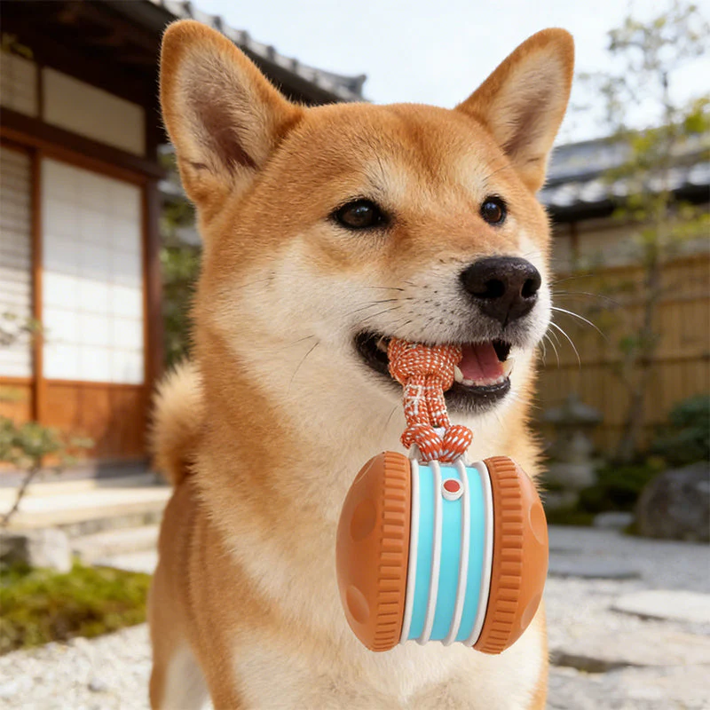 🎁2026 New Arrivals 40% OFF💥Interactive Rolling Ball Toy for Dogs - Image 5