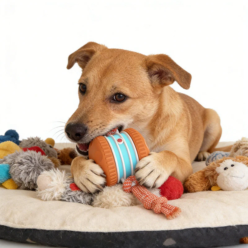 🎁2026 New Arrivals 40% OFF💥Interactive Rolling Ball Toy for Dogs - Image 7