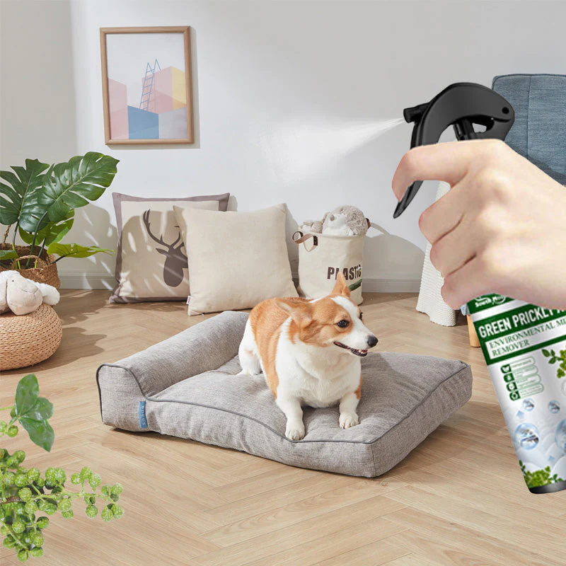 ✨Buy More Get More Free✨Power Insect Spray - Image 10