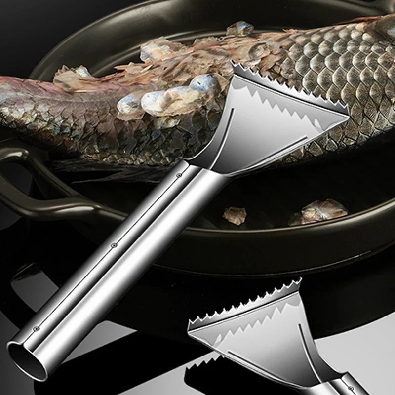 Sharp Stainless Steel Fish Scaler - Image 4